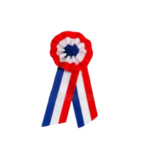 Badge Cocarde France