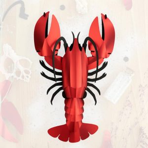 Kit Puzzle 3D Homard Rouge (moyen), Assembli